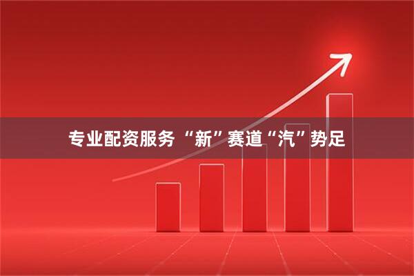 专业配资服务 “新”赛道“汽”势足